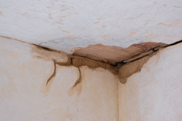 Professional Water damage restoration in Mont Alto, PA